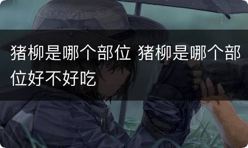 猪柳是哪个部位 猪柳是哪个部位好不好吃