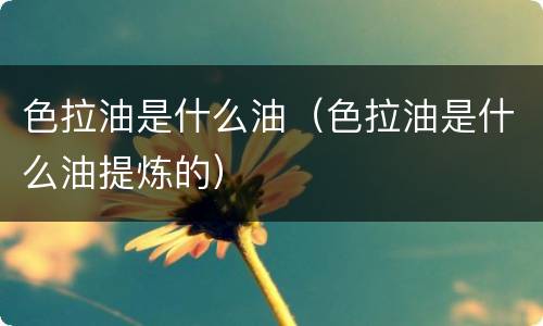 色拉油是什么油（色拉油是什么油提炼的）