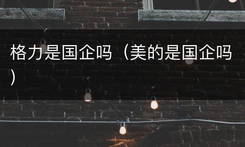 格力是国企吗（美的是国企吗）