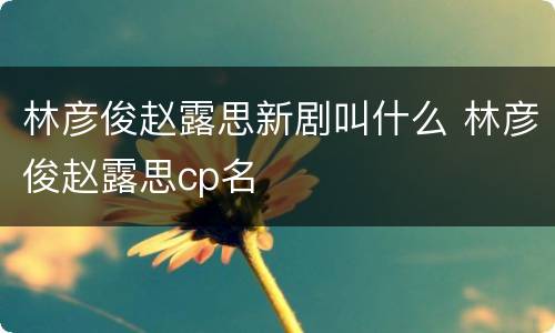林彦俊赵露思新剧叫什么 林彦俊赵露思cp名