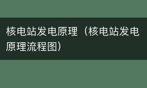 核电站发电原理（核电站发电原理流程图）