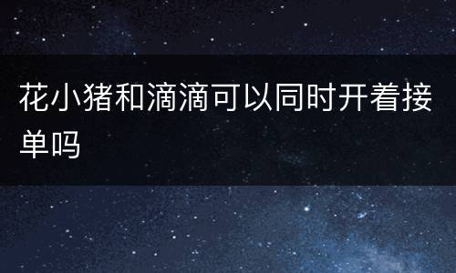 花小猪和滴滴可以同时开着接单吗
