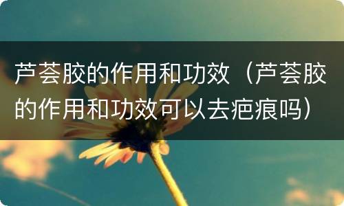芦荟胶的作用和功效（芦荟胶的作用和功效可以去疤痕吗）