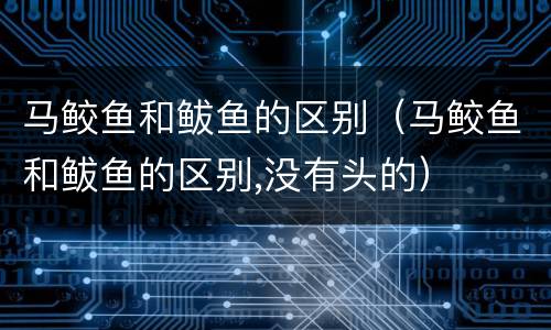 马鲛鱼和鲅鱼的区别（马鲛鱼和鲅鱼的区别,没有头的）