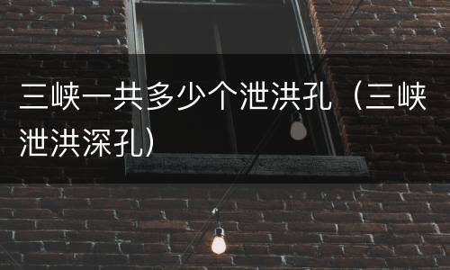 三峡一共多少个泄洪孔（三峡泄洪深孔）