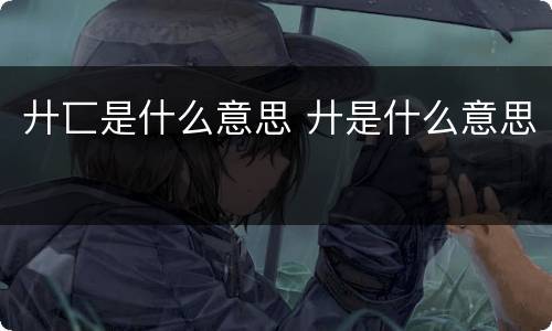 廾匸是什么意思 廾是什么意思