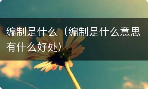 编制是什么（编制是什么意思有什么好处）