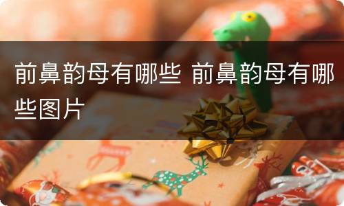 前鼻韵母有哪些 前鼻韵母有哪些图片