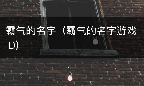 霸气的名字（霸气的名字游戏ID）