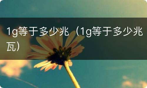 1g等于多少兆（1g等于多少兆瓦）