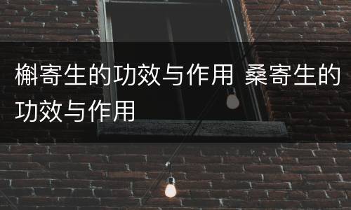 槲寄生的功效与作用 桑寄生的功效与作用