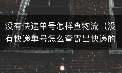 没有快递单号怎样查物流（没有快递单号怎么查寄出快递的物流）