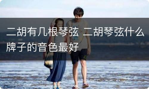 二胡有几根琴弦 二胡琴弦什么牌子的音色最好