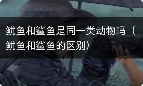 鱿鱼和鲨鱼是同一类动物吗（鱿鱼和鲨鱼的区别）