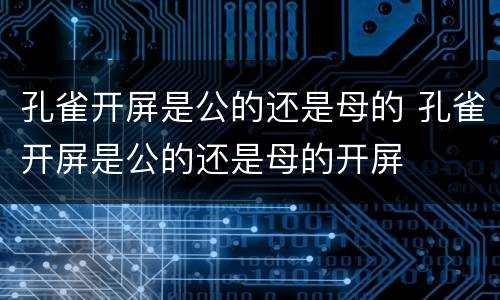 孔雀开屏是公的还是母的 孔雀开屏是公的还是母的开屏