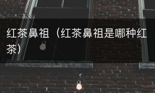 红茶鼻祖（红茶鼻祖是哪种红茶）