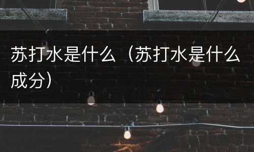 苏打水是什么（苏打水是什么成分）