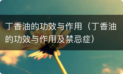 丁香油的功效与作用（丁香油的功效与作用及禁忌症）