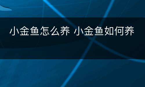  小金鱼怎么养 小金鱼如何养