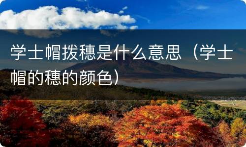 学士帽拨穗是什么意思（学士帽的穗的颜色）