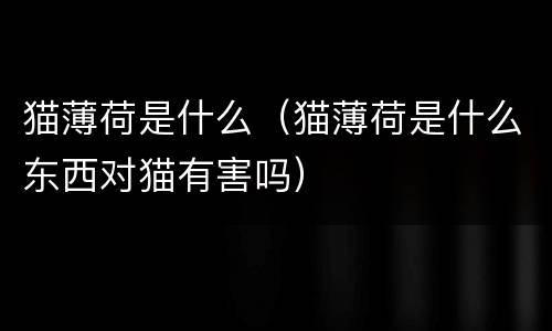 猫薄荷是什么（猫薄荷是什么东西对猫有害吗）