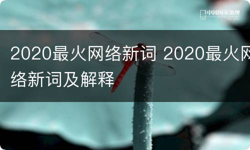 2020最火网络新词 2020最火网络新词及解释