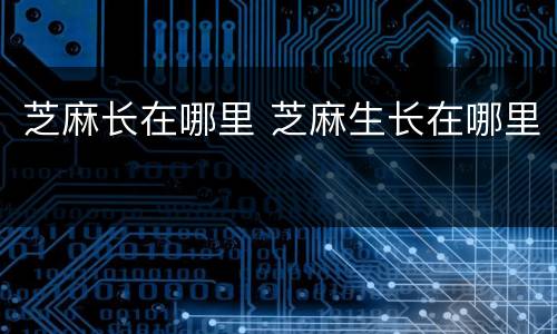 芝麻长在哪里 芝麻生长在哪里