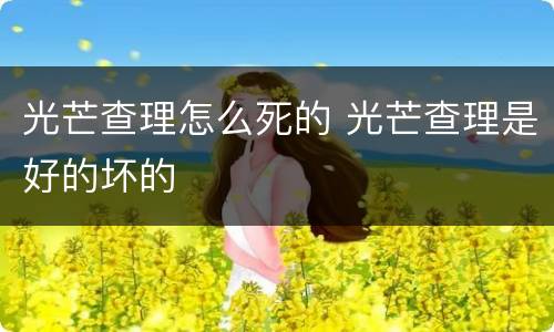光芒查理怎么死的 光芒查理是好的坏的