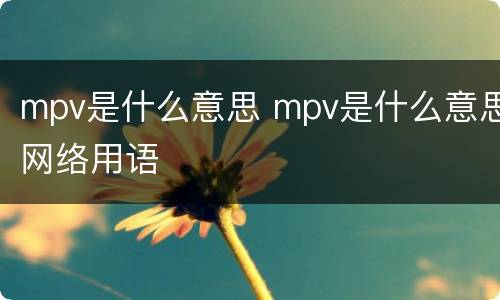 mpv是什么意思 mpv是什么意思网络用语