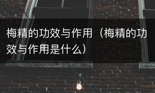 梅精的功效与作用（梅精的功效与作用是什么）