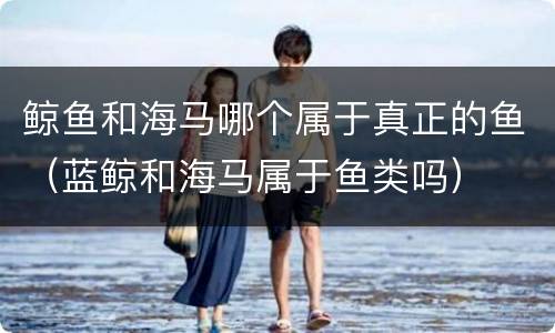 鲸鱼和海马哪个属于真正的鱼（蓝鲸和海马属于鱼类吗）