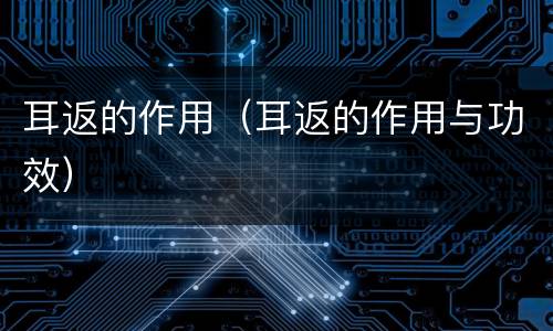 耳返的作用（耳返的作用与功效）