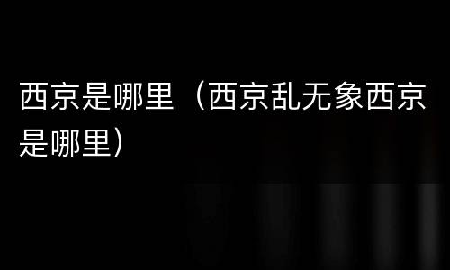 西京是哪里（西京乱无象西京是哪里）