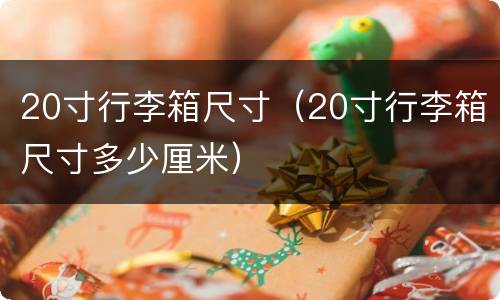 20寸行李箱尺寸（20寸行李箱尺寸多少厘米）