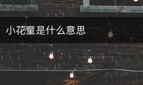 小花童是什么意思