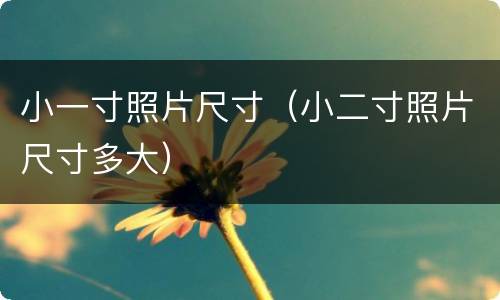 小一寸照片尺寸（小二寸照片尺寸多大）