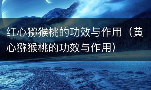 红心猕猴桃的功效与作用（黄心猕猴桃的功效与作用）