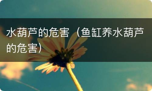 水葫芦的危害（鱼缸养水葫芦的危害）