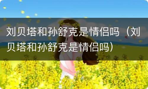 刘贝塔和孙舒克是情侣吗（刘贝塔和孙舒克是情侣吗）