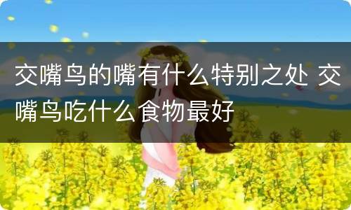 交嘴鸟的嘴有什么特别之处 交嘴鸟吃什么食物最好