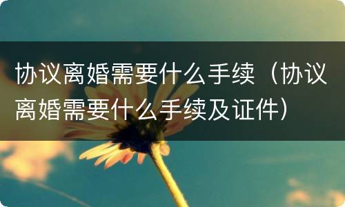 协议离婚需要什么手续（协议离婚需要什么手续及证件）
