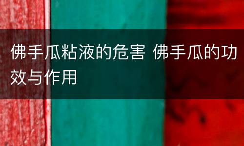 佛手瓜粘液的危害 佛手瓜的功效与作用