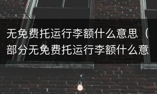无免费托运行李额什么意思（部分无免费托运行李额什么意思）