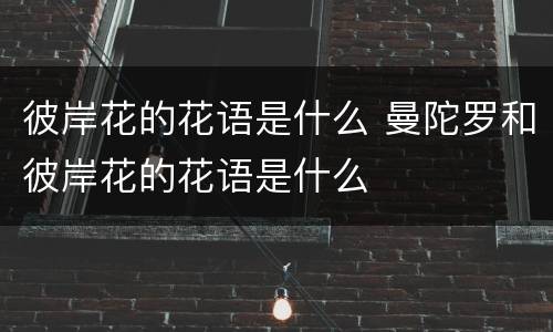 彼岸花的花语是什么 曼陀罗和彼岸花的花语是什么