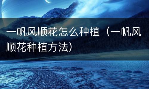 一帆风顺花怎么种植（一帆风顺花种植方法）
