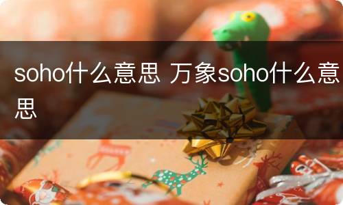 soho什么意思 万象soho什么意思