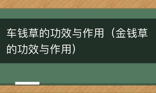 车钱草的功效与作用（金钱草的功效与作用）