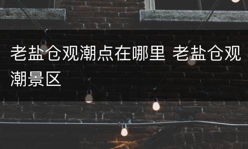 老盐仓观潮点在哪里 老盐仓观潮景区