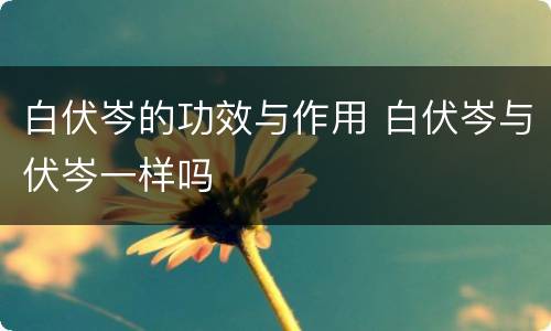 白伏岑的功效与作用 白伏岑与伏岑一样吗