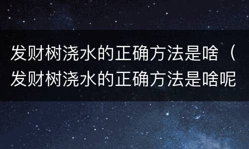 发财树浇水的正确方法是啥（发财树浇水的正确方法是啥呢）